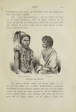 Image of the Page - 135 - in Um Afrika - Skizzen von der Reise Sr. Majestät Corvette Helgoland in den Jahren 1873-75