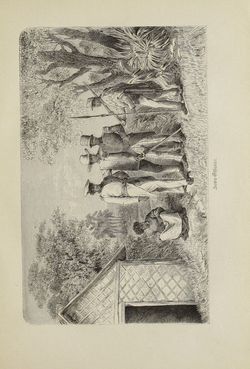 Image of the Page - 157 - in Um Afrika - Skizzen von der Reise Sr. Majestät Corvette Helgoland in den Jahren 1873-75