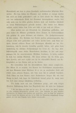 Bild der Seite - 193 - in Um Afrika - Skizzen von der Reise Sr. Majestät Corvette Helgoland in den Jahren 1873-75