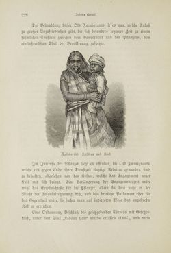 Bild der Seite - 228 - in Um Afrika - Skizzen von der Reise Sr. Majestät Corvette Helgoland in den Jahren 1873-75