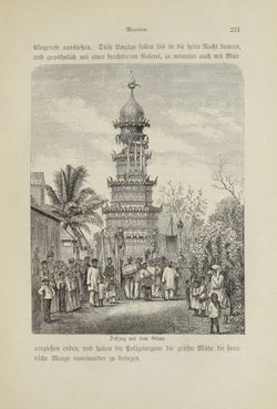 Bild der Seite - 231 - in Um Afrika - Skizzen von der Reise Sr. Majestät Corvette Helgoland in den Jahren 1873-75