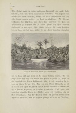 Bild der Seite - 240 - in Um Afrika - Skizzen von der Reise Sr. Majestät Corvette Helgoland in den Jahren 1873-75