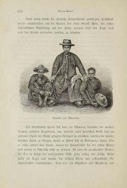 Image of the Page - 250 - in Um Afrika - Skizzen von der Reise Sr. Majestät Corvette Helgoland in den Jahren 1873-75