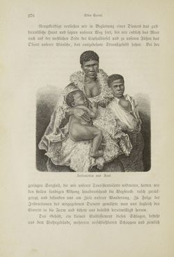 Image of the Page - 276 - in Um Afrika - Skizzen von der Reise Sr. Majestät Corvette Helgoland in den Jahren 1873-75