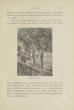 Image of the Page - 295 - in Um Afrika - Skizzen von der Reise Sr. Majestät Corvette Helgoland in den Jahren 1873-75