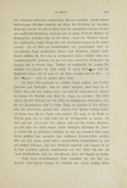 Bild der Seite - 335 - in Um Afrika - Skizzen von der Reise Sr. Majestät Corvette Helgoland in den Jahren 1873-75