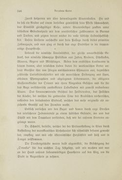 Bild der Seite - 346 - in Um Afrika - Skizzen von der Reise Sr. Majestät Corvette Helgoland in den Jahren 1873-75