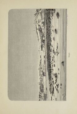 Bild der Seite - 347 - in Um Afrika - Skizzen von der Reise Sr. Majestät Corvette Helgoland in den Jahren 1873-75