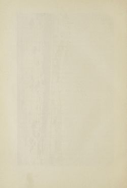 Bild der Seite - 348 - in Um Afrika - Skizzen von der Reise Sr. Majestät Corvette Helgoland in den Jahren 1873-75