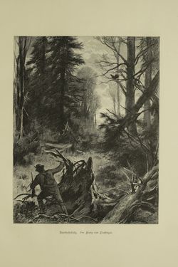 Bild der Seite - (000057) - in Unser Vaterland - Steiermark und Kärnten