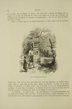 Bild der Seite - 36 - in Unser Vaterland - Steiermark und Kärnten