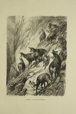 Bild der Seite - (000073) - in Unser Vaterland - Steiermark und Kärnten