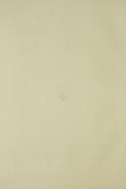 Bild der Seite - (000074) - in Unser Vaterland - Steiermark und Kärnten