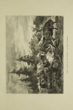 Image of the Page - (000081) - in Unser Vaterland - Steiermark und Kärnten