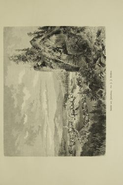 Image of the Page - (000089) - in Unser Vaterland - Steiermark und Kärnten