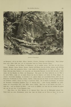 Bild der Seite - 65 - in Unser Vaterland - Steiermark und Kärnten