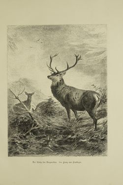 Bild der Seite - (000111) - in Unser Vaterland - Steiermark und Kärnten