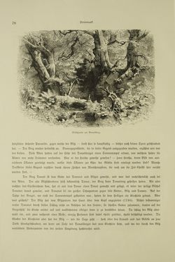 Bild der Seite - 78 - in Unser Vaterland - Steiermark und Kärnten