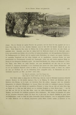 Image of the Page - 175 - in Unser Vaterland - Steiermark und Kärnten
