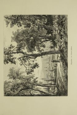 Image of the Page - (000255) - in Unser Vaterland - Steiermark und Kärnten