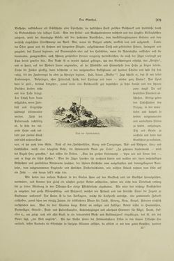 Image of the Page - 209 - in Unser Vaterland - Steiermark und Kärnten