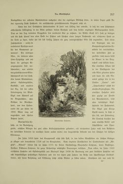 Image of the Page - 217 - in Unser Vaterland - Steiermark und Kärnten