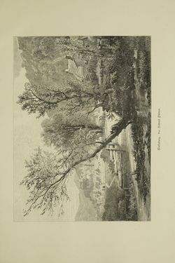 Image of the Page - (000333) - in Unser Vaterland - Steiermark und Kärnten