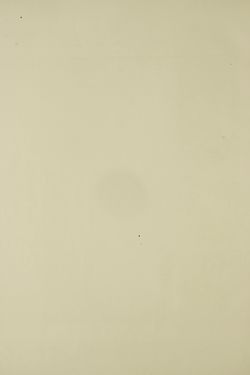 Image of the Page - (000334) - in Unser Vaterland - Steiermark und Kärnten