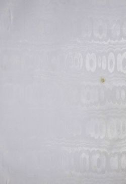Image of the Page - (000001) - in Unser Vaterland  - Tirol und Vorarlberg