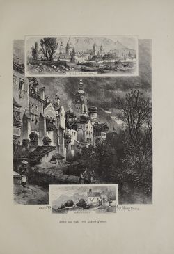 Bild der Seite - (000057) - in Unser Vaterland  - Tirol und Vorarlberg