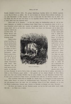 Bild der Seite - (000061) - in Unser Vaterland  - Tirol und Vorarlberg