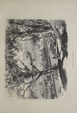 Bild der Seite - (000063) - in Unser Vaterland  - Tirol und Vorarlberg