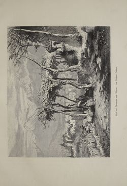 Image of the Page - (000143) - in Unser Vaterland  - Tirol und Vorarlberg