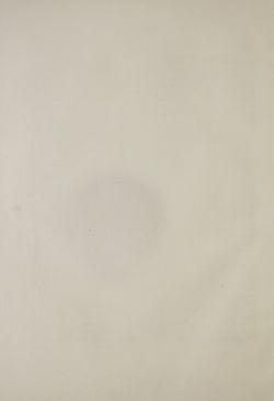 Image of the Page - (000186) - in Unser Vaterland  - Tirol und Vorarlberg