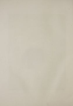 Bild der Seite - (000232) - in Unser Vaterland  - Tirol und Vorarlberg