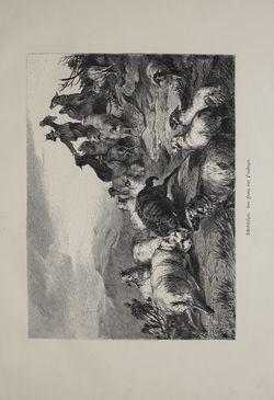 Image of the Page - (000285) - in Unser Vaterland  - Tirol und Vorarlberg