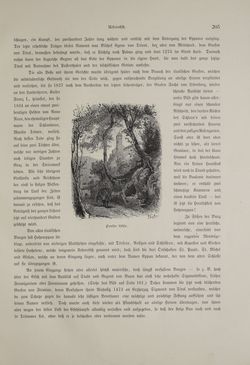 Image of the Page - (000299) - in Unser Vaterland  - Tirol und Vorarlberg