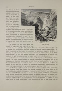 Bild der Seite - (000314) - in Unser Vaterland  - Tirol und Vorarlberg