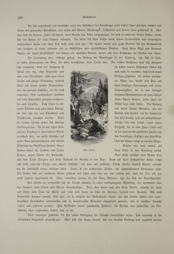 Bild der Seite - (000324) - in Unser Vaterland  - Tirol und Vorarlberg