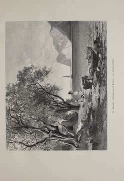 Bild der Seite - (000329) - in Unser Vaterland  - Tirol und Vorarlberg