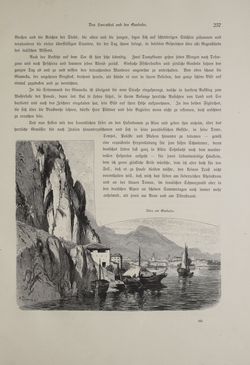 Bild der Seite - (000335) - in Unser Vaterland  - Tirol und Vorarlberg