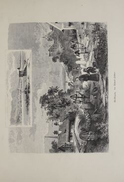 Image of the Page - (000353) - in Unser Vaterland  - Tirol und Vorarlberg