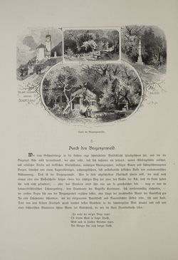 Image of the Page - (000356) - in Unser Vaterland  - Tirol und Vorarlberg