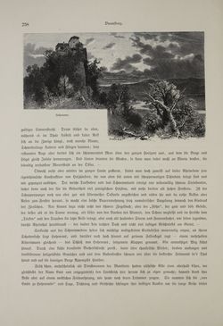 Image of the Page - (000362) - in Unser Vaterland  - Tirol und Vorarlberg