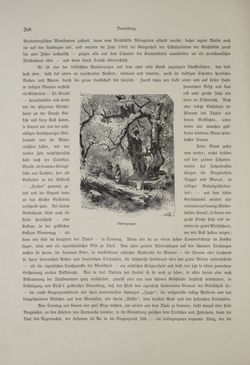 Image of the Page - (000372) - in Unser Vaterland  - Tirol und Vorarlberg