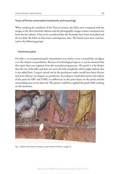 Image of the Page - 27 - in The Vienna Genesis - Material analysis and conservation of a Late Antique illuminated manuscript on purple parchment