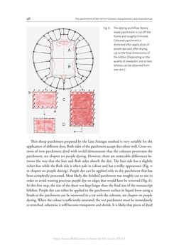 Image of the Page - 46 - in The Vienna Genesis - Material analysis and conservation of a Late Antique illuminated manuscript on purple parchment