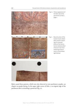 Bild der Seite - 50 - in The Vienna Genesis - Material analysis and conservation of a Late Antique illuminated manuscript on purple parchment