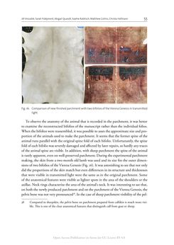 Bild der Seite - 55 - in The Vienna Genesis - Material analysis and conservation of a Late Antique illuminated manuscript on purple parchment