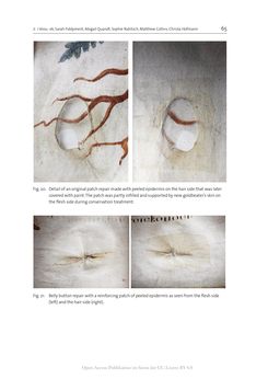 Image of the Page - 65 - in The Vienna Genesis - Material analysis and conservation of a Late Antique illuminated manuscript on purple parchment